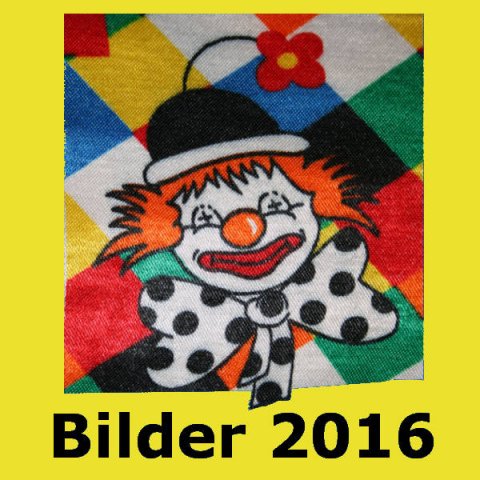 bilder-2016