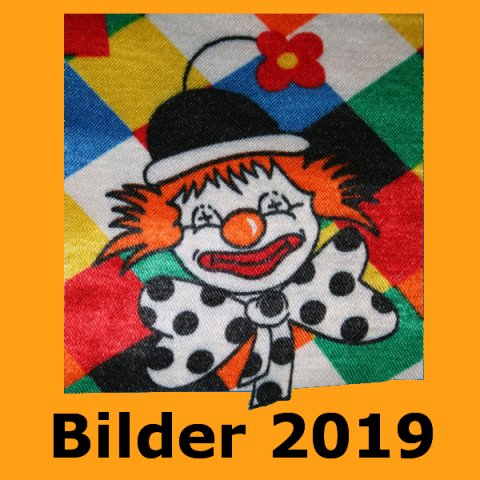 2019-bilder