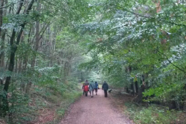 2016 beactive wanderung